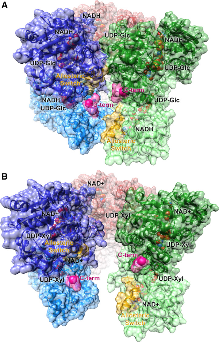 Figure 2.