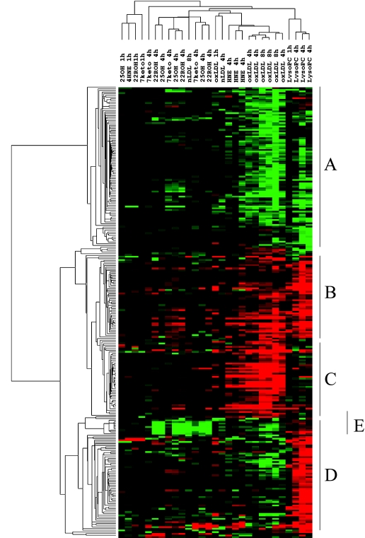 Fig. 1