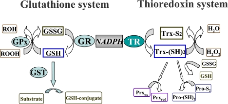 Fig. 2