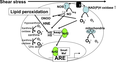 Fig. 3