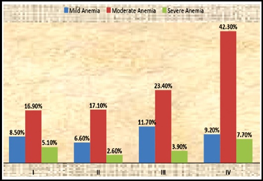 Fig.1