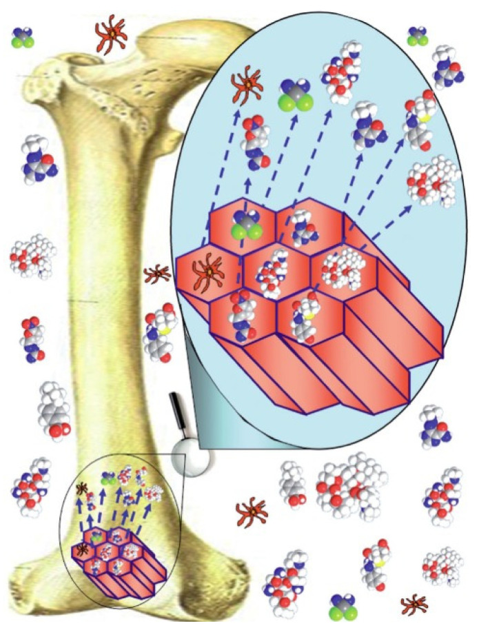 Figure 11