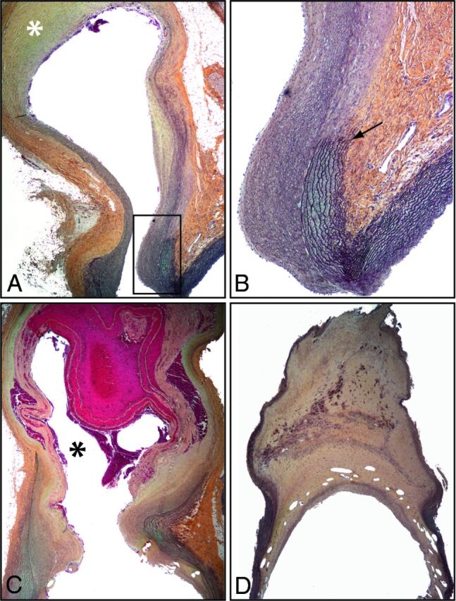 Fig 5.