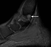 Figure 4b