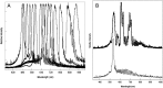 Fig10