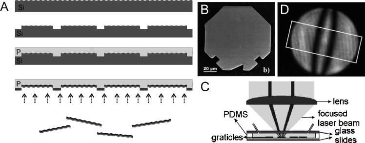 Fig17