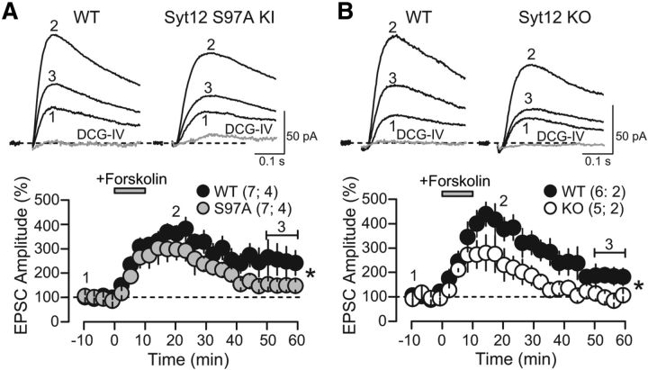 Figure 9.