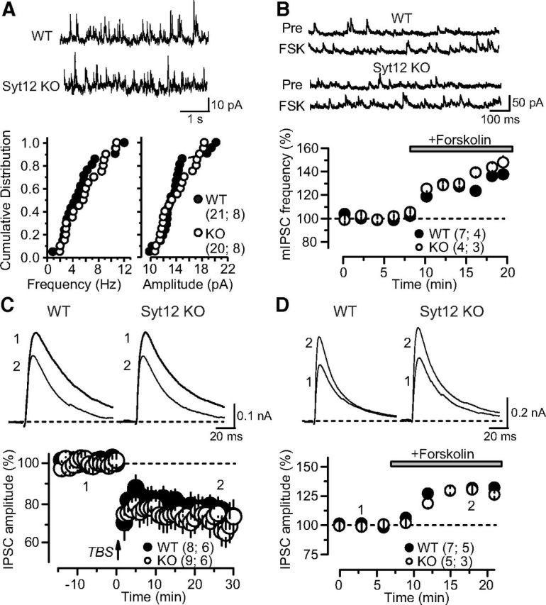 Figure 10.