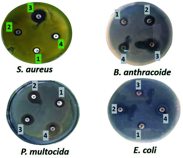 Fig. 6