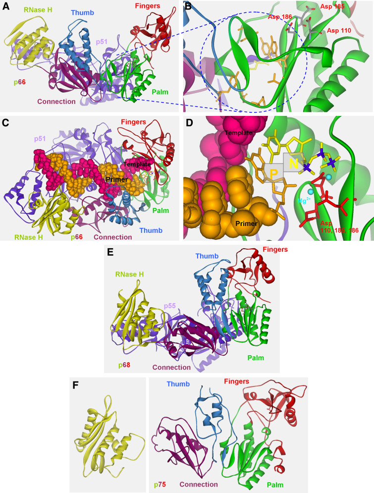 Fig. 3