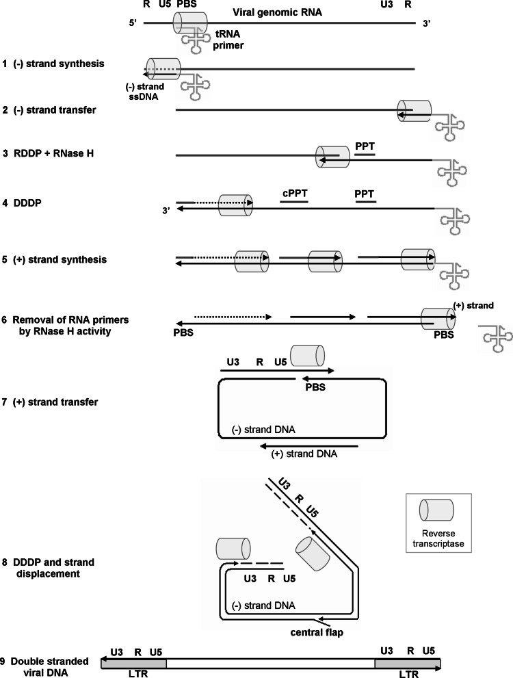 Fig. 2