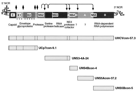 FIG. 1.