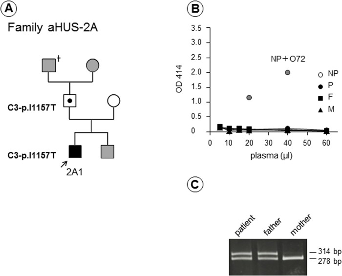 Fig 7