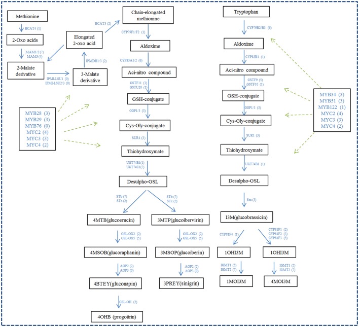 Figure 5