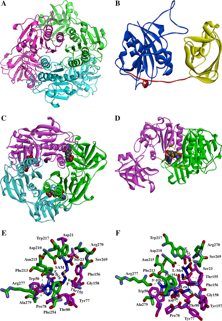 Fig. 9