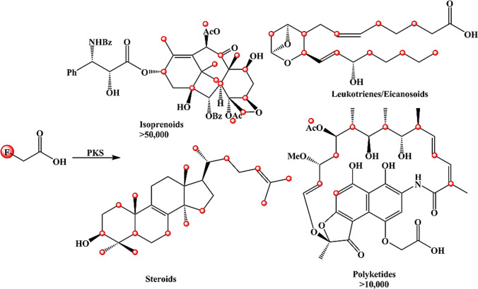 Fig. 6