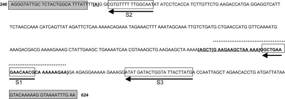 FIG. 1.