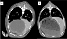 Fig 5