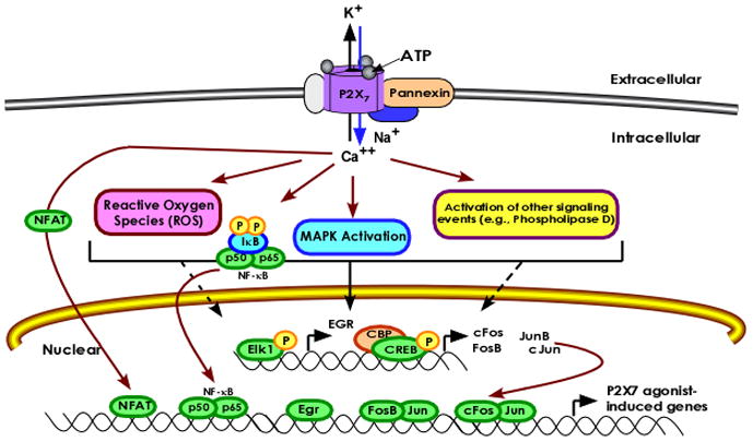 Fig. 2