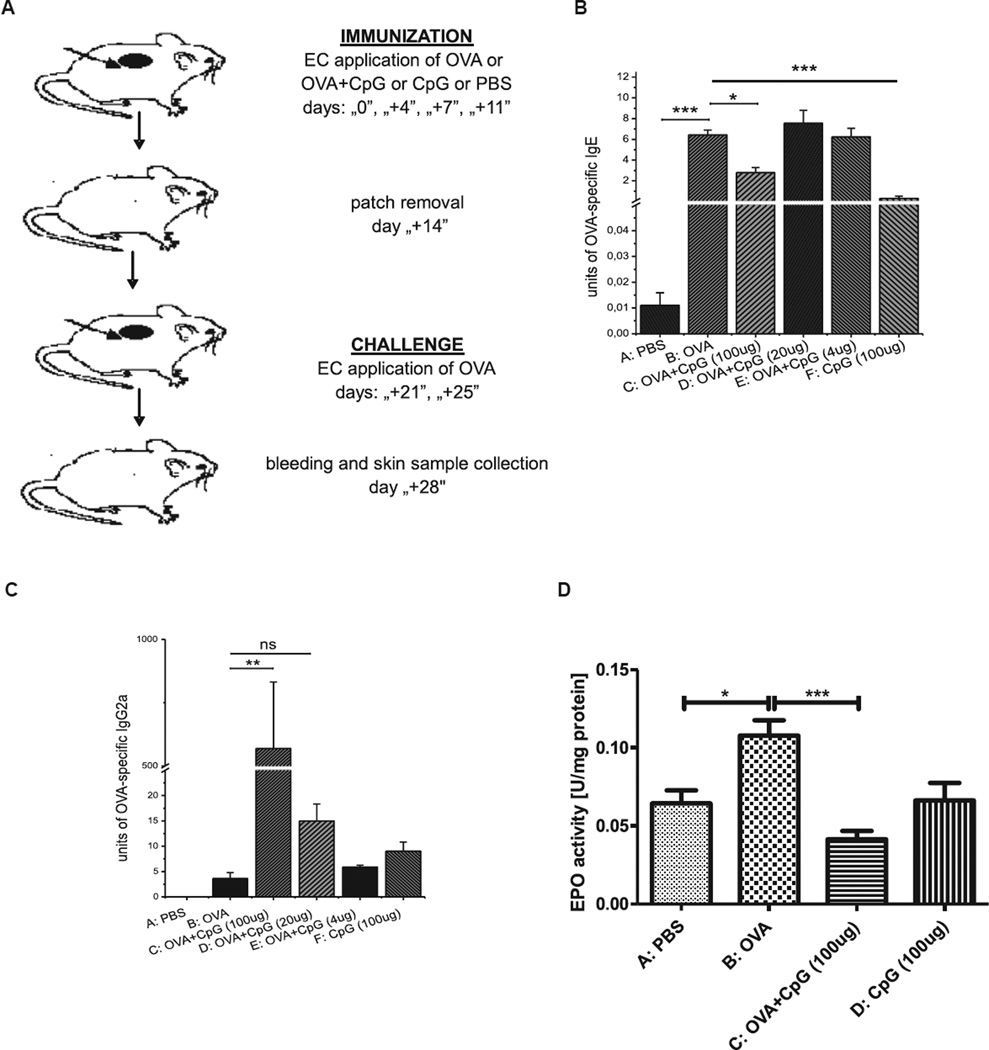 FIG 1