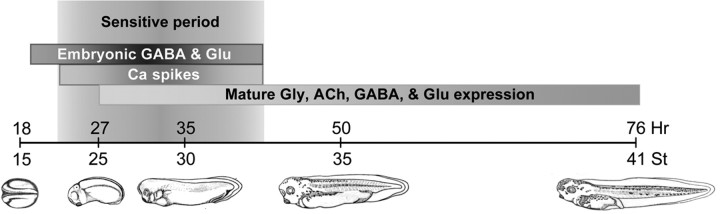 Figure 7.