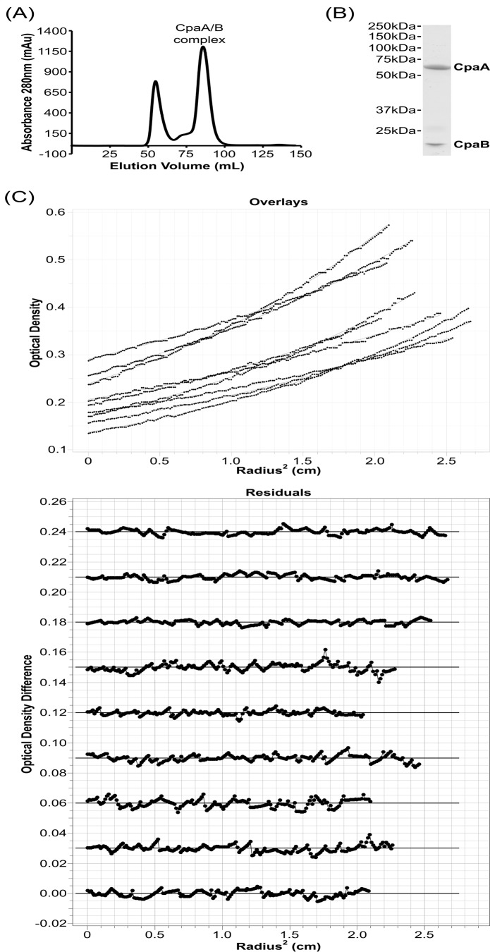 Figure 5.