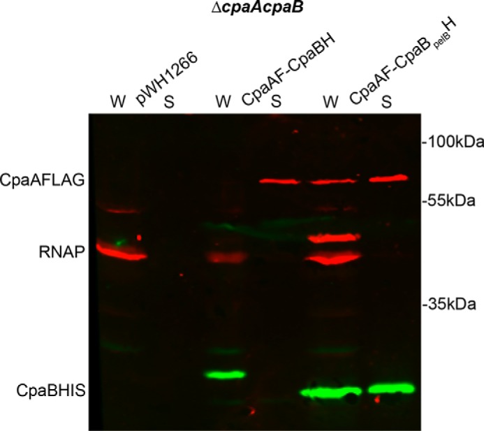 Figure 7.