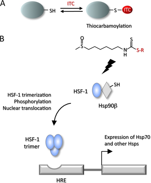 FIGURE 10.