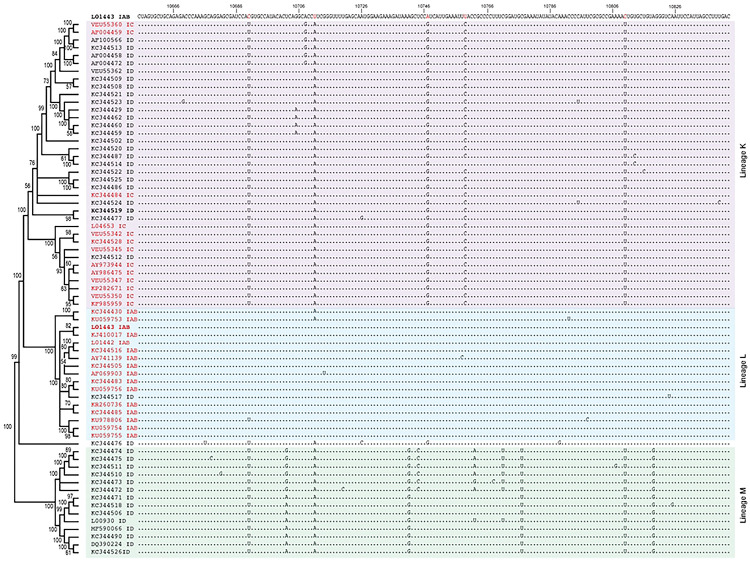 Extended Data Figure 7.