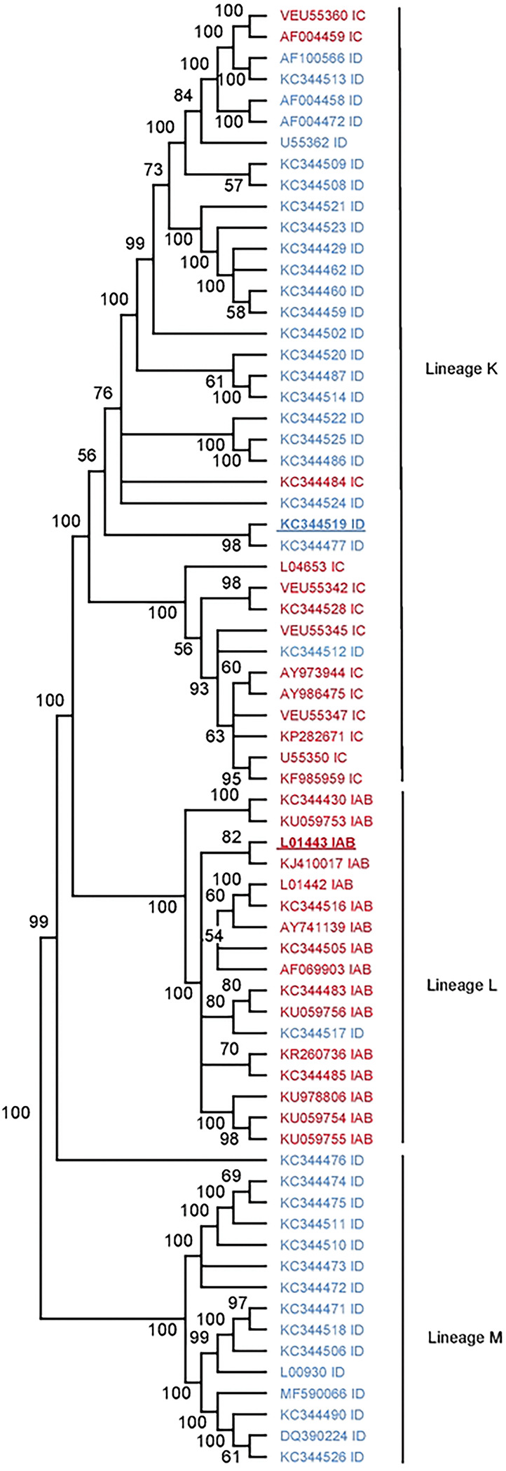 Extended Data Figure 1.