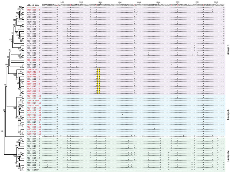 Extended Data Figure 7.