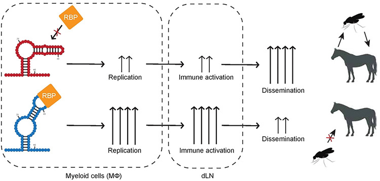 Extended Data Figure 10.