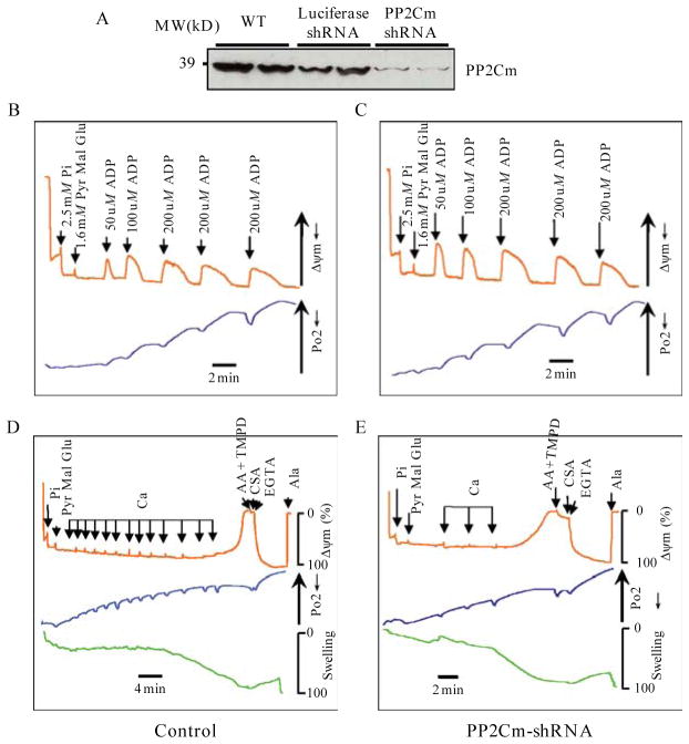 Figure 14.3