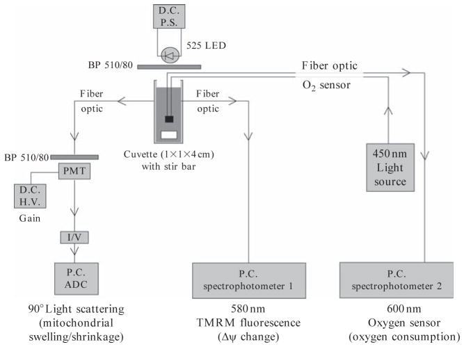 Figure 14.4