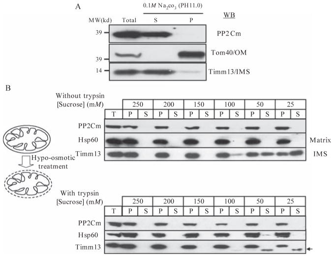 Figure 14.2