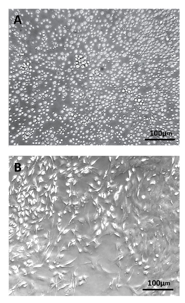 Fig.1