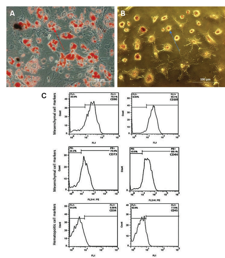 Fig.2