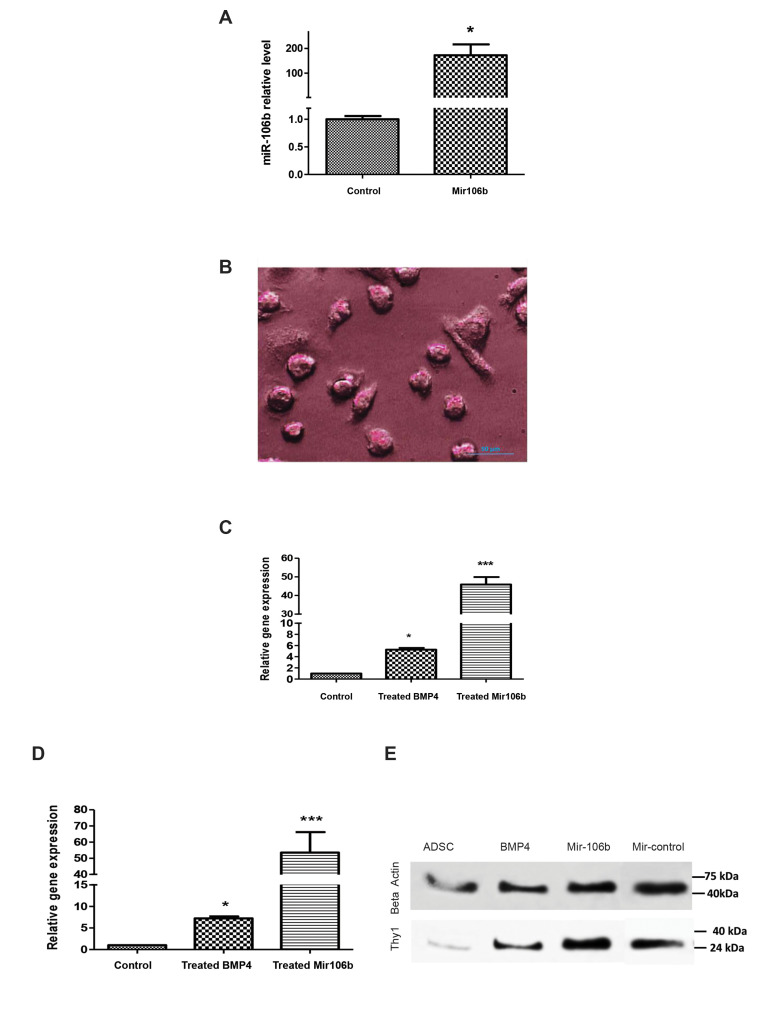 Fig.4