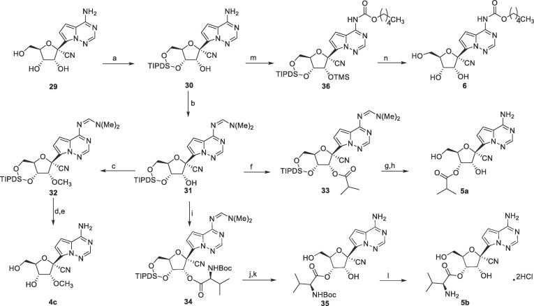 Scheme 5