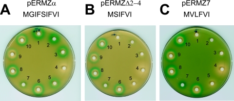 FIG. 6.