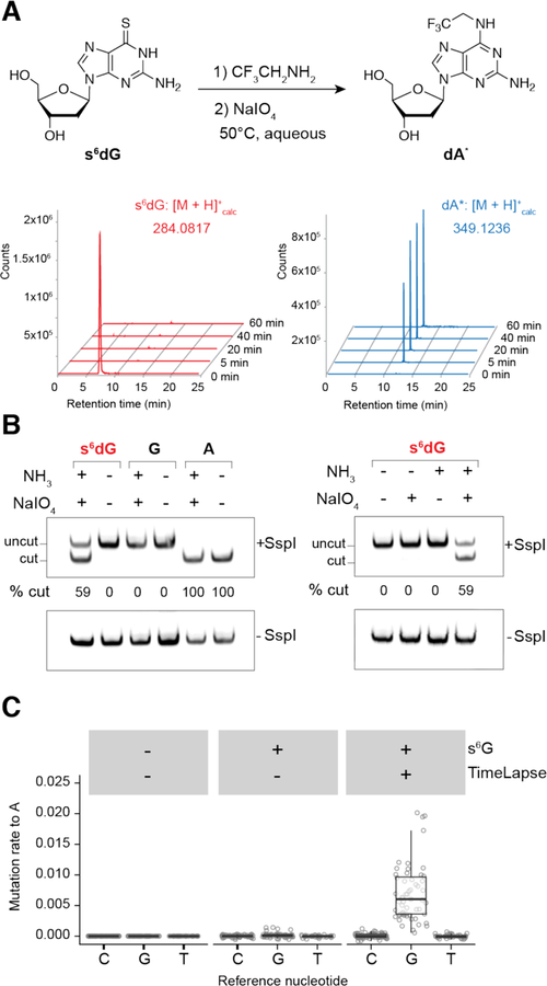 Figure 1.