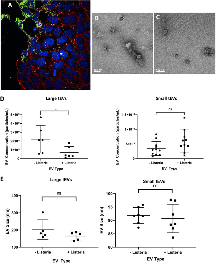 FIG 1