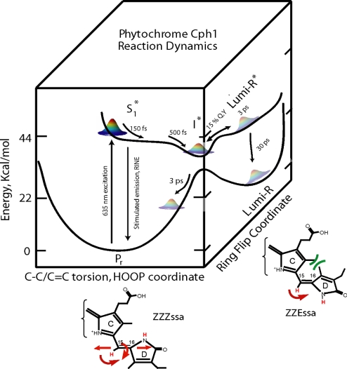 Fig. 6.