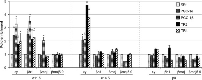 FIG 5