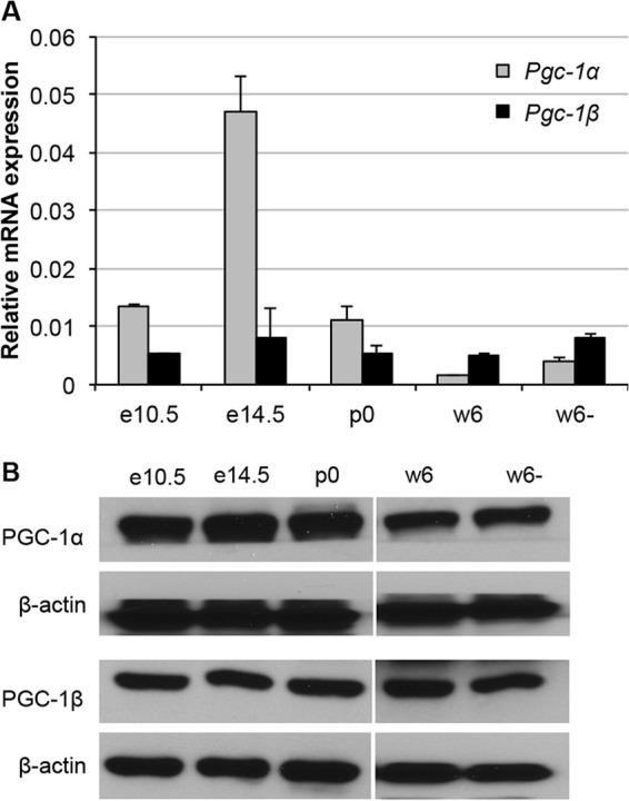 FIG 1