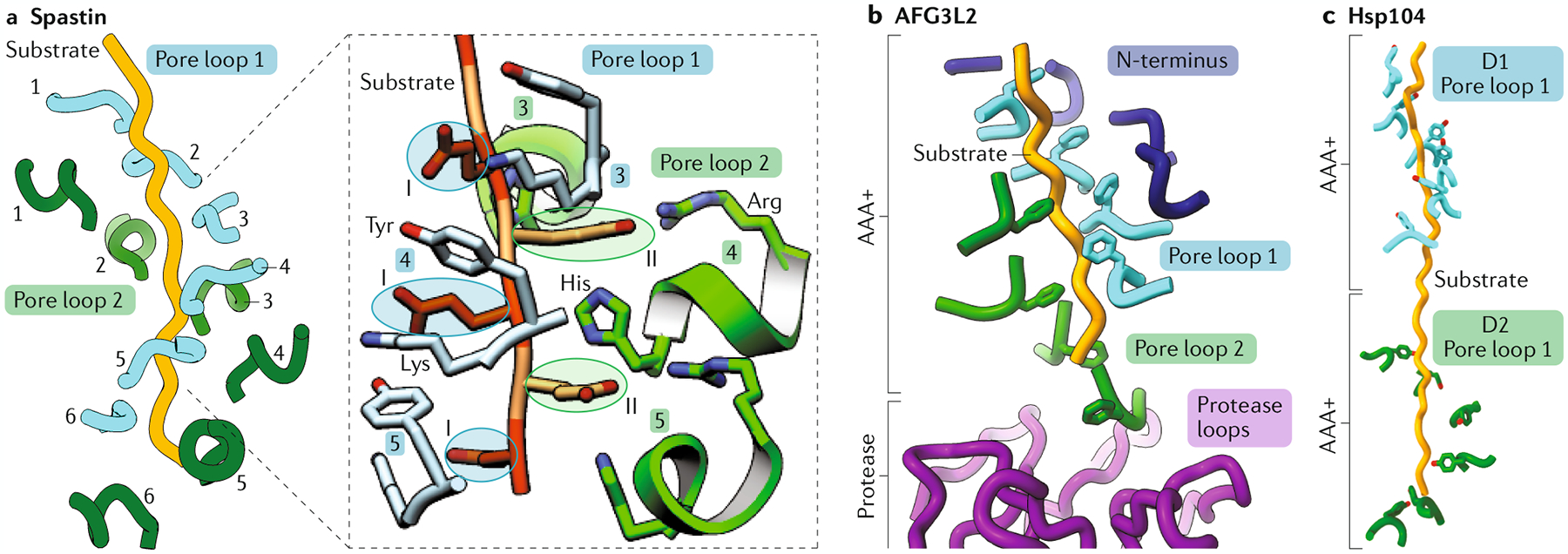 Fig. 6 |