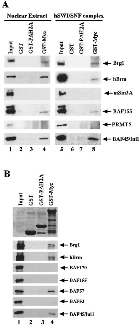 FIG. 5.