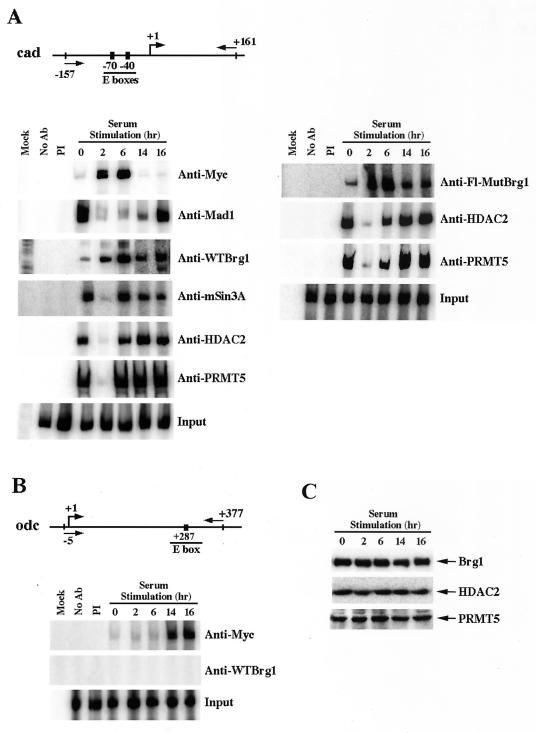 FIG. 6.