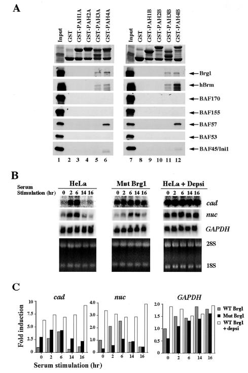 FIG. 4.