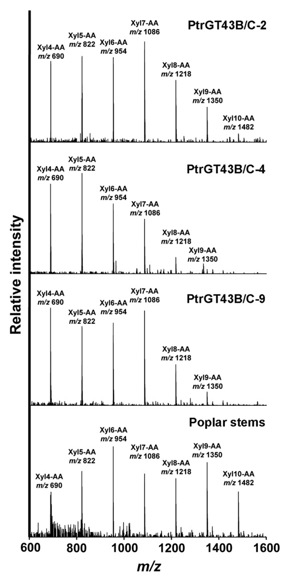 Figure 5. 